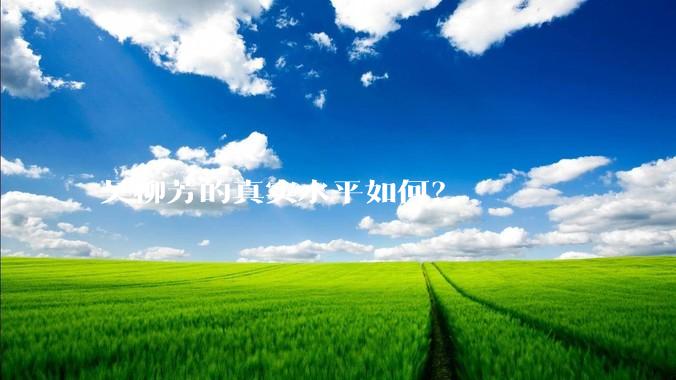 吴柳芳的真实水平如何？