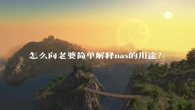怎么向老婆简单解释nas的用途？