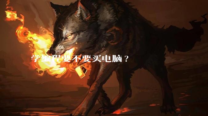 学编程要不要买电脑?
