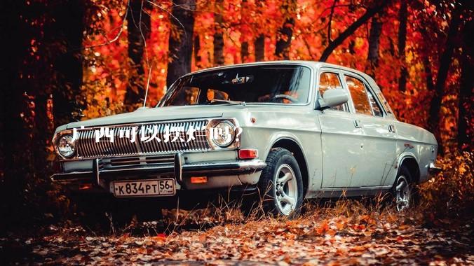 广西可以摆烂吗？