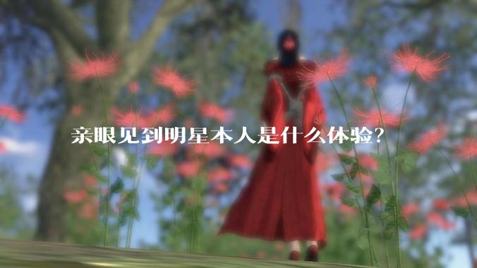 亲眼见到明星本人是什么体验？