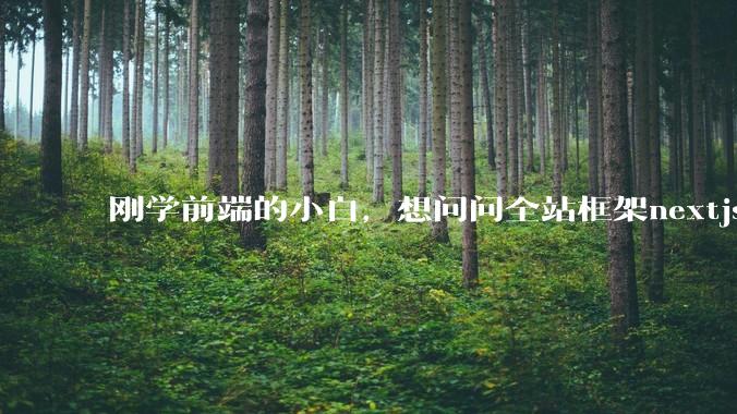刚学前端的小白，想问问全站框架nextjs+shadcn+prisma为什么在国内不火呢？