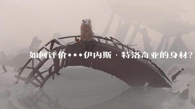 如何评价***伊内斯·特洛奇亚的身材？