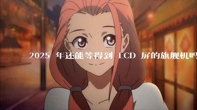 2025 年还能等得到 LCD 屏的旗舰机吗？