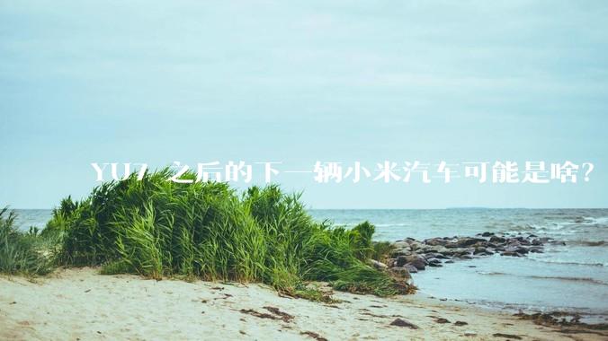 YU7 之后的下一辆小米汽车可能是啥？小米会把所有车型做一遍吗？