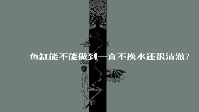 鱼缸能不能做到一直不换水还很清澈？
