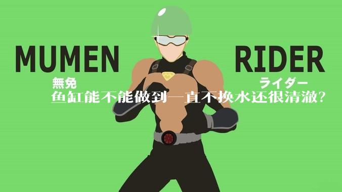 鱼缸能不能做到一直不换水还很清澈？