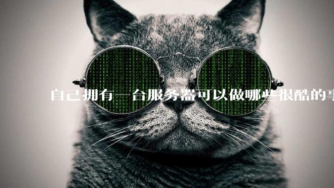 自己拥有一台服务器可以做哪些很酷的事情？