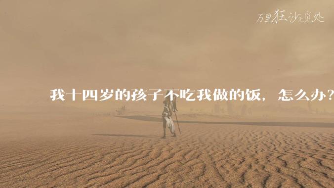 我十四岁的孩子不吃我做的饭，怎么办？