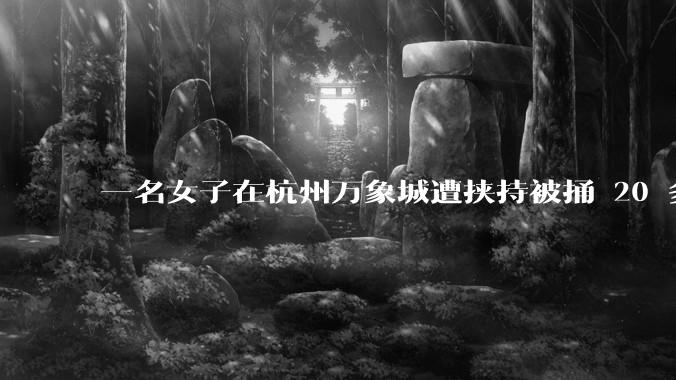 一名女子在杭州万象城遭挟持被捅 20 多刀，隆胸***体救了一命，这反映出哪些公安系统的问题？