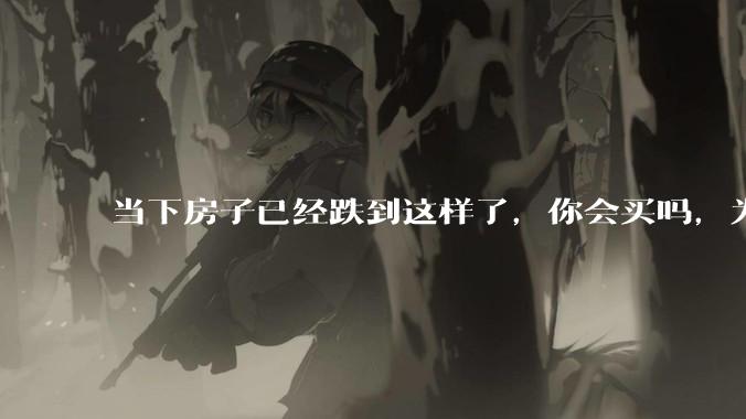 当下房子已经跌到这样了，你会买吗，为什么？
