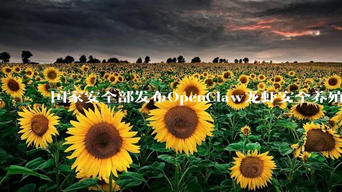 国家安全部发布OpenClaw龙虾安全养殖手册_实际操作_权限_人工智能