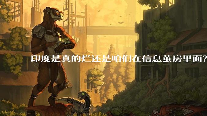 印度是真的烂还是咱们在信息茧房里面？