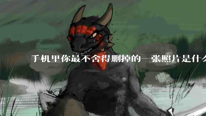 手机里你最不舍得删掉的一张照片是什么？
