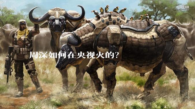 周深如何在央视火的？