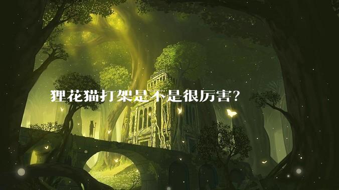 狸花猫打架是不是很厉害？