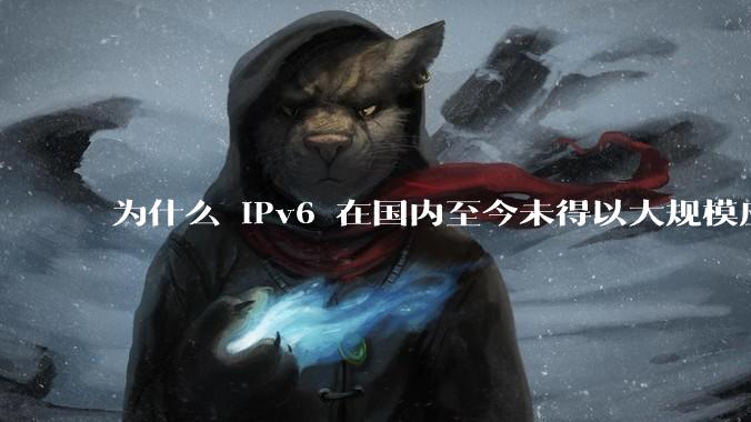 为什么 IPv6 在国内至今未得以大规模应用?