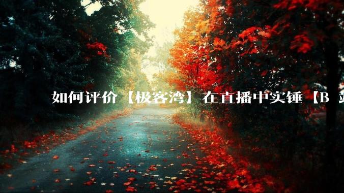 如何评价【极客湾】在直播中实锤【B 站不交保护费就限流】？