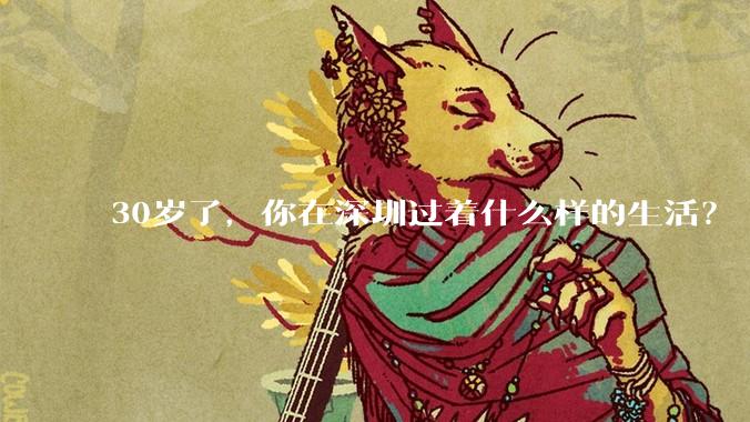 30岁了，你在深圳过着什么样的生活？