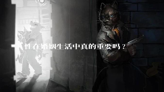 性在婚姻生活中真的重要吗?
