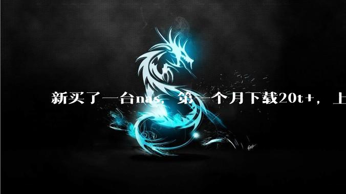 新买了一台nas，第一个月下载20t+，上传5+，不会被网警盯上吧?