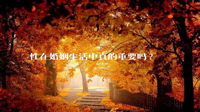 性在婚姻生活中真的重要吗?