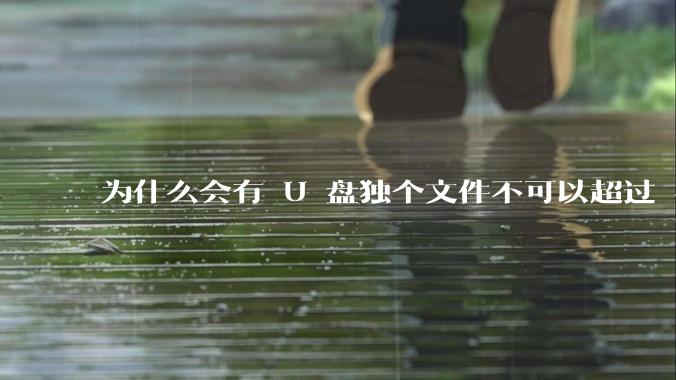 为什么会有 U 盘独个文件不可以超过 4GB 这种设定？