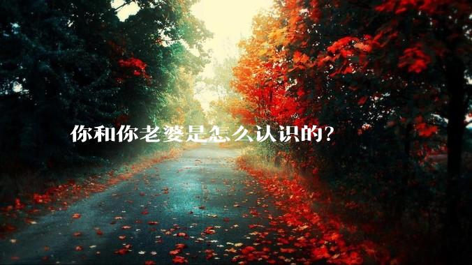 你和你老婆是怎么认识的？