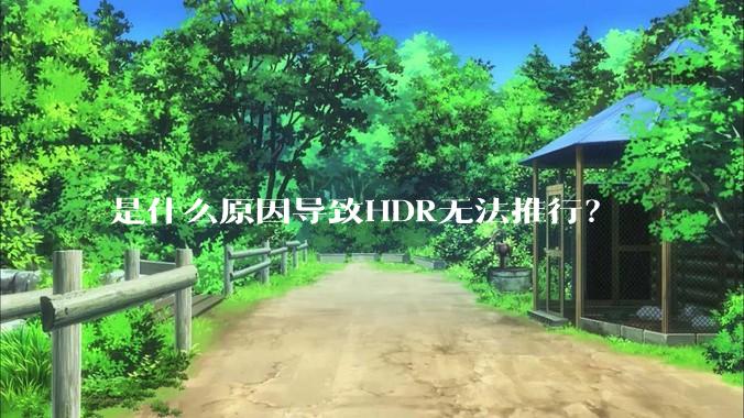 是什么原因导致HDR无法推行？