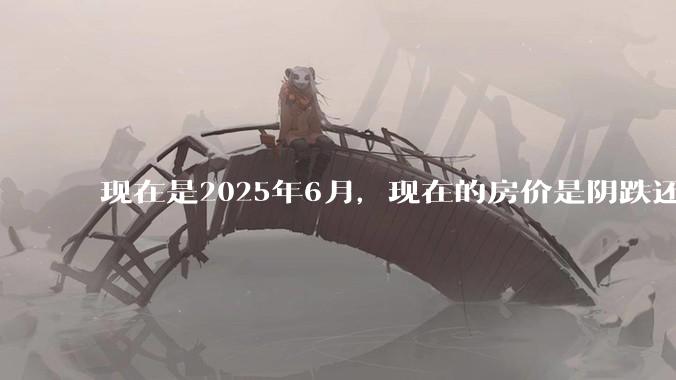 现在是2025年6月，现在的房价是阴跌还是暴跌？还会继续跌多久？是否已经开始分化?