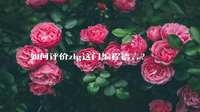 如何评价zig这门编程语言？