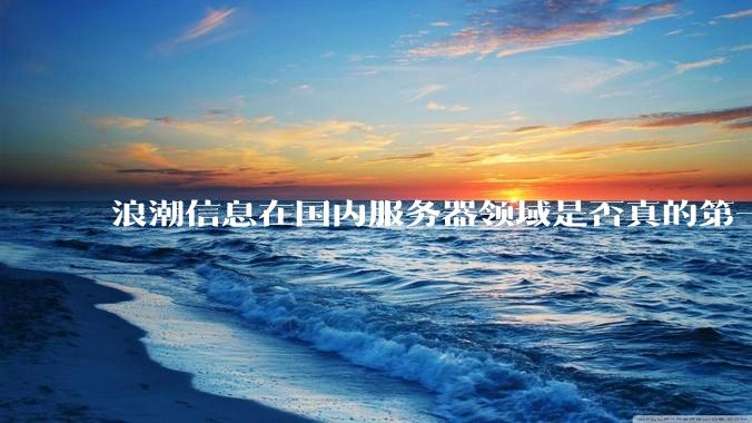 浪潮信息在国内服务器领域是否真的第一？