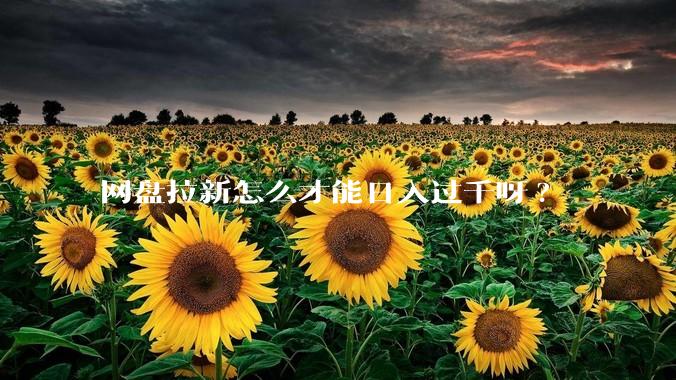 网盘拉新怎么才能日入过千呀?