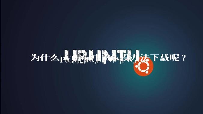 为什么python中nltk没办法下载呢?